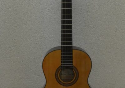 Aria <br />Ak20N