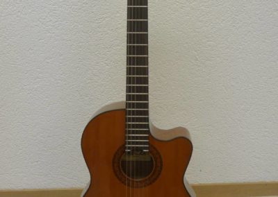 Farida C12-CE