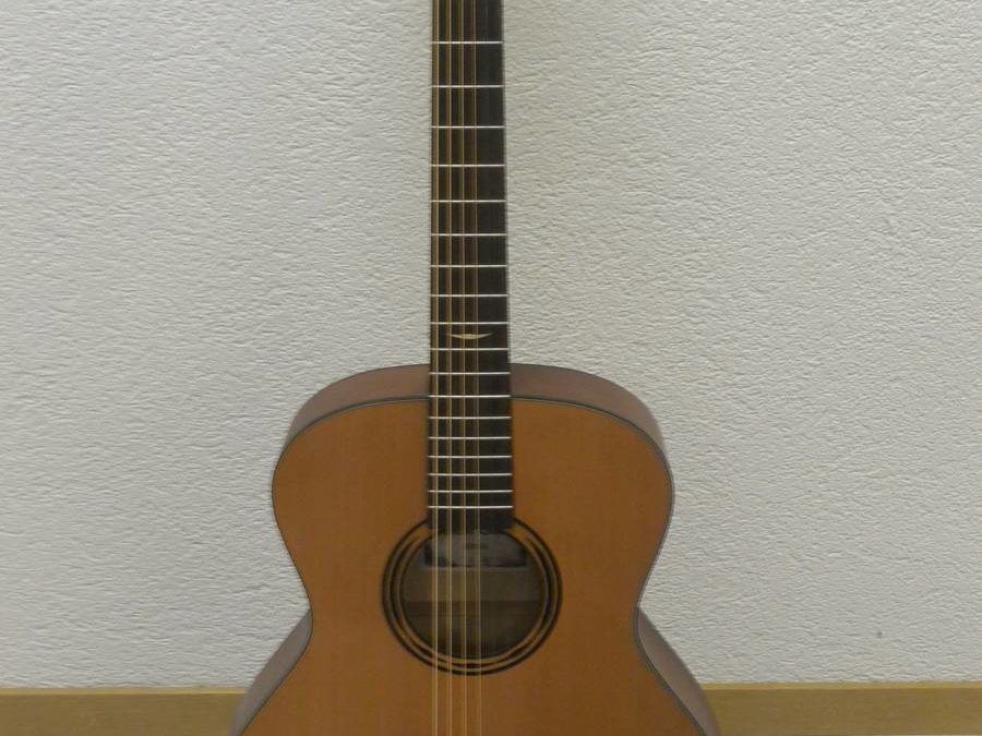 guitare acoustique baton rouge AR21C frs 315.00