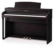 Kawai CA401